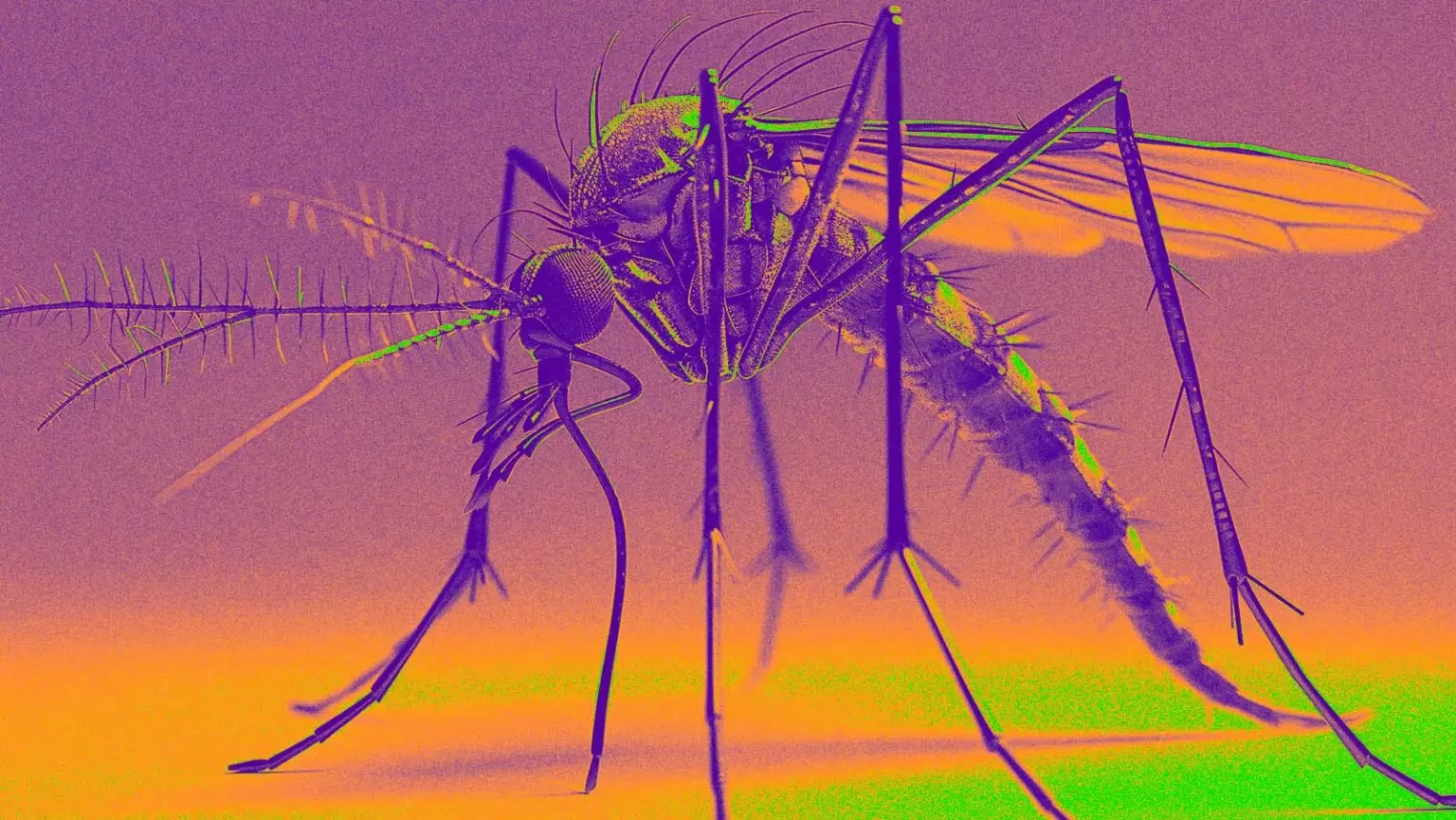 epidemia_dengue